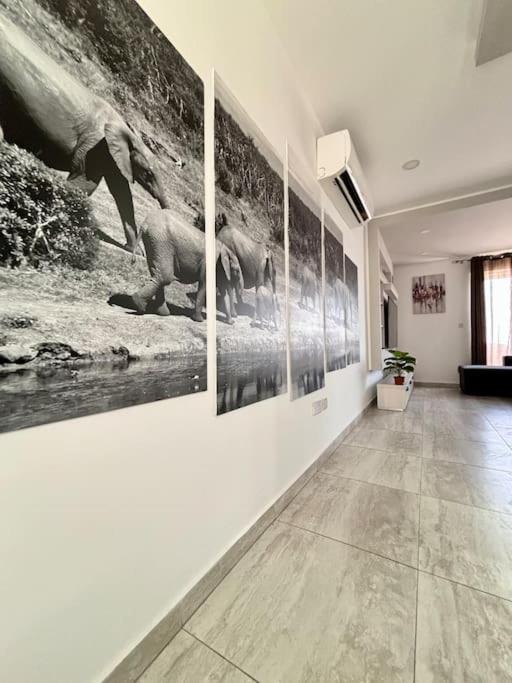 Appartamento Elegant Penthouse In St Julians Stj411 San Giuliano Esterno foto